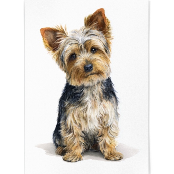 Watercolor Yorkshire Dog Portrait Art Print – Unframed Fine Art Poster - Picture 2 of 5